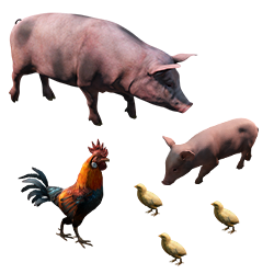 Фермерство