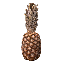 Сахарная дыня