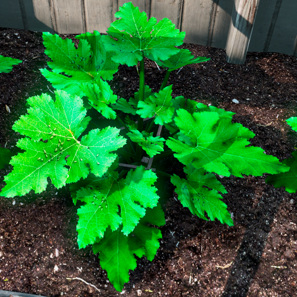 Вредители на растении 1