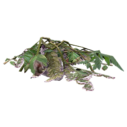 Растительный материал