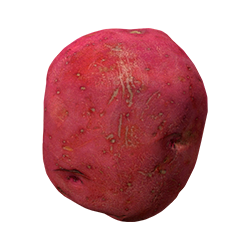 Красный картофель