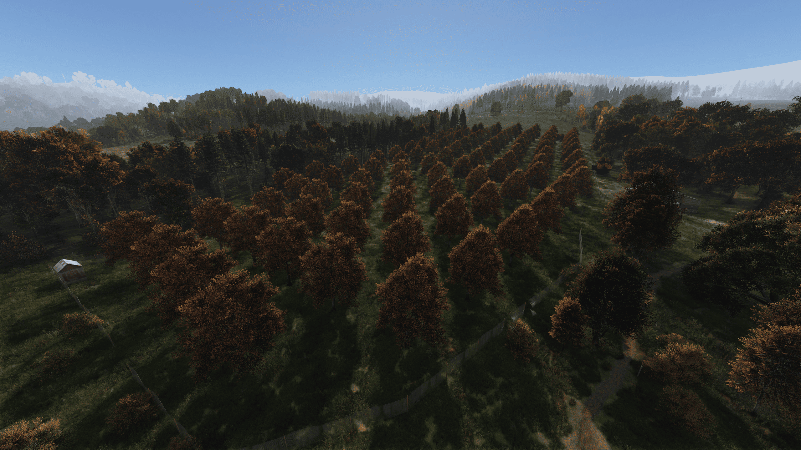 Груши — Нижнее