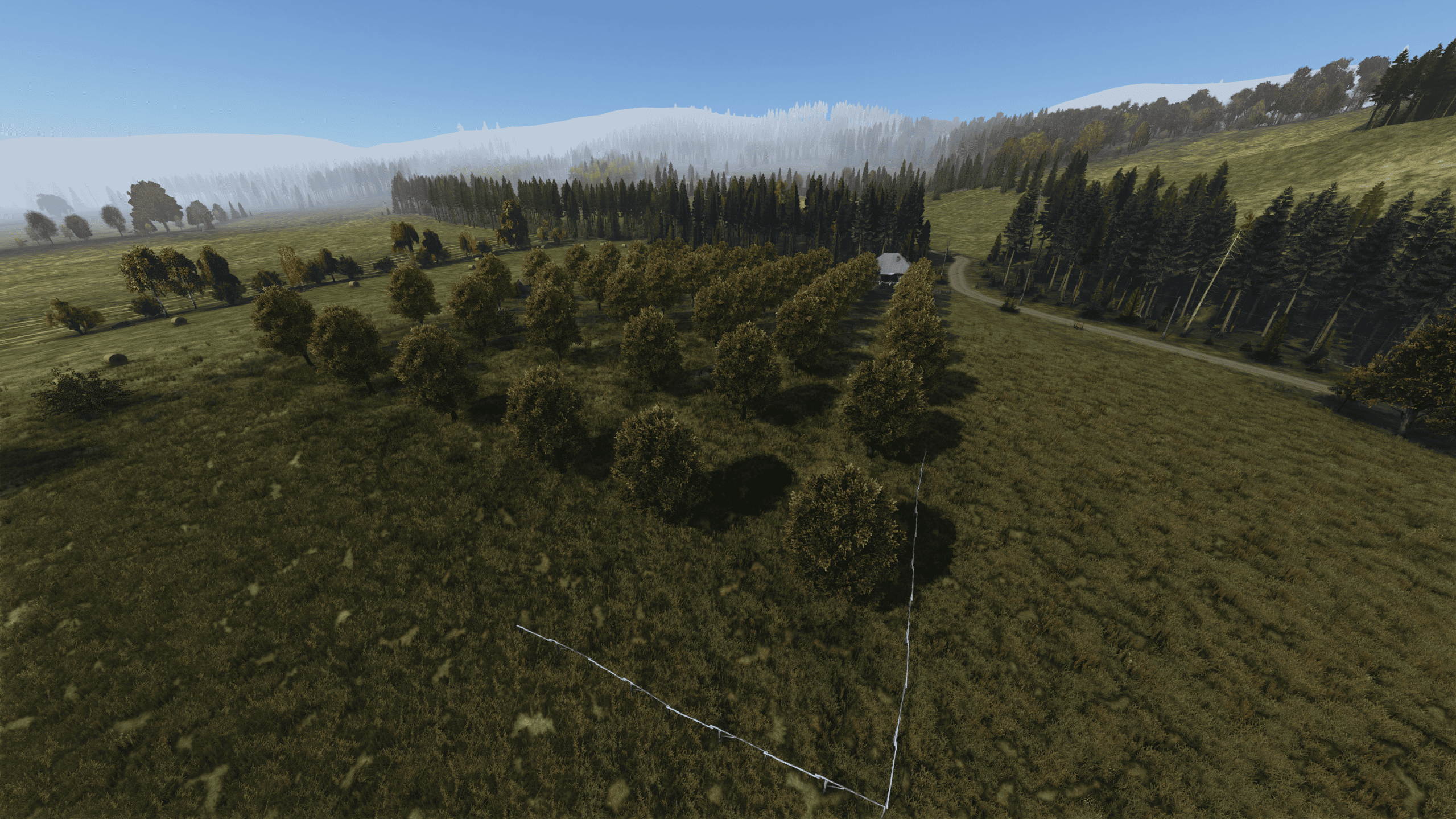 Сливы — Балота