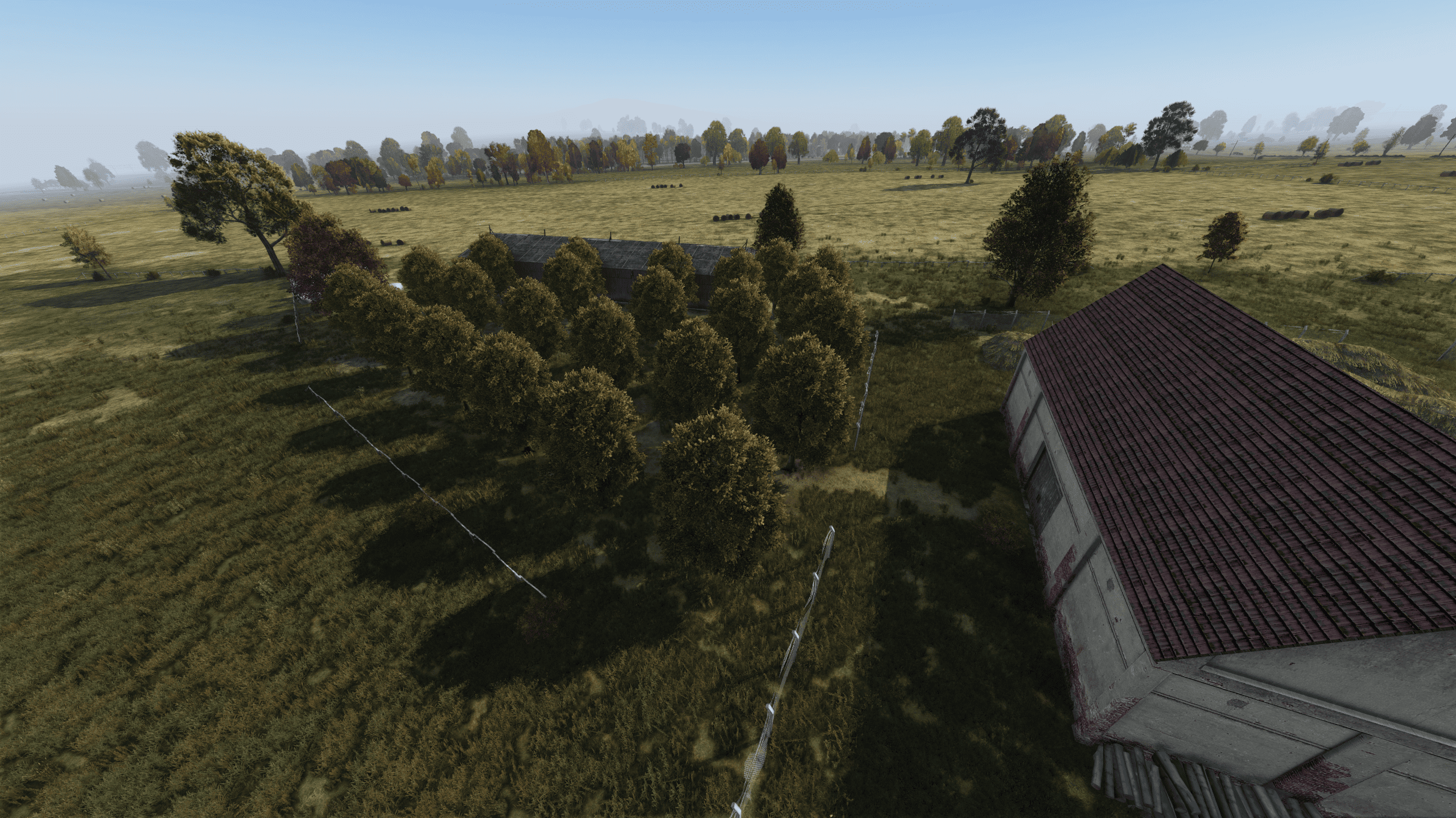 Сливы — Синысток