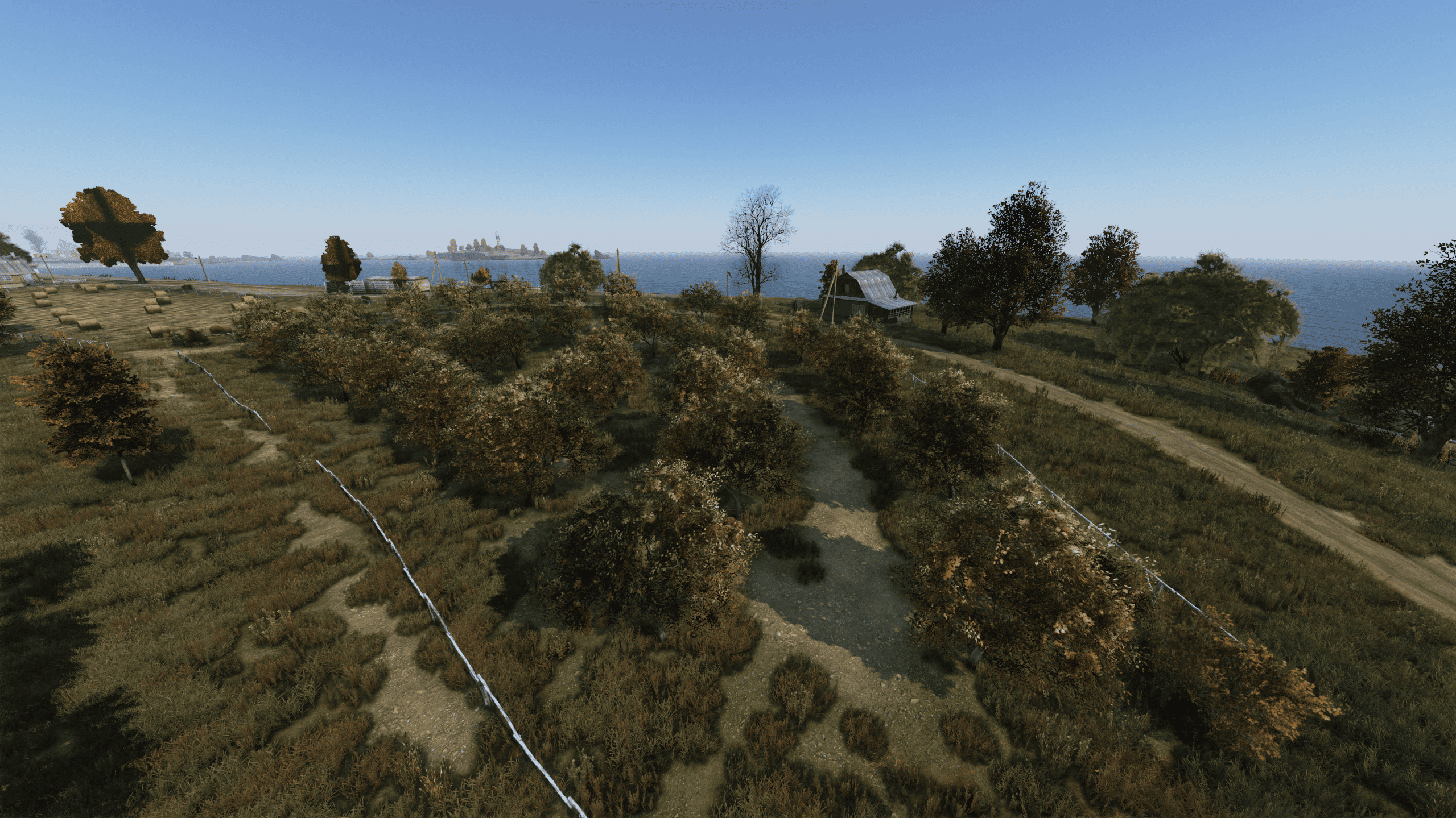 Яблоки — Электрозаводск